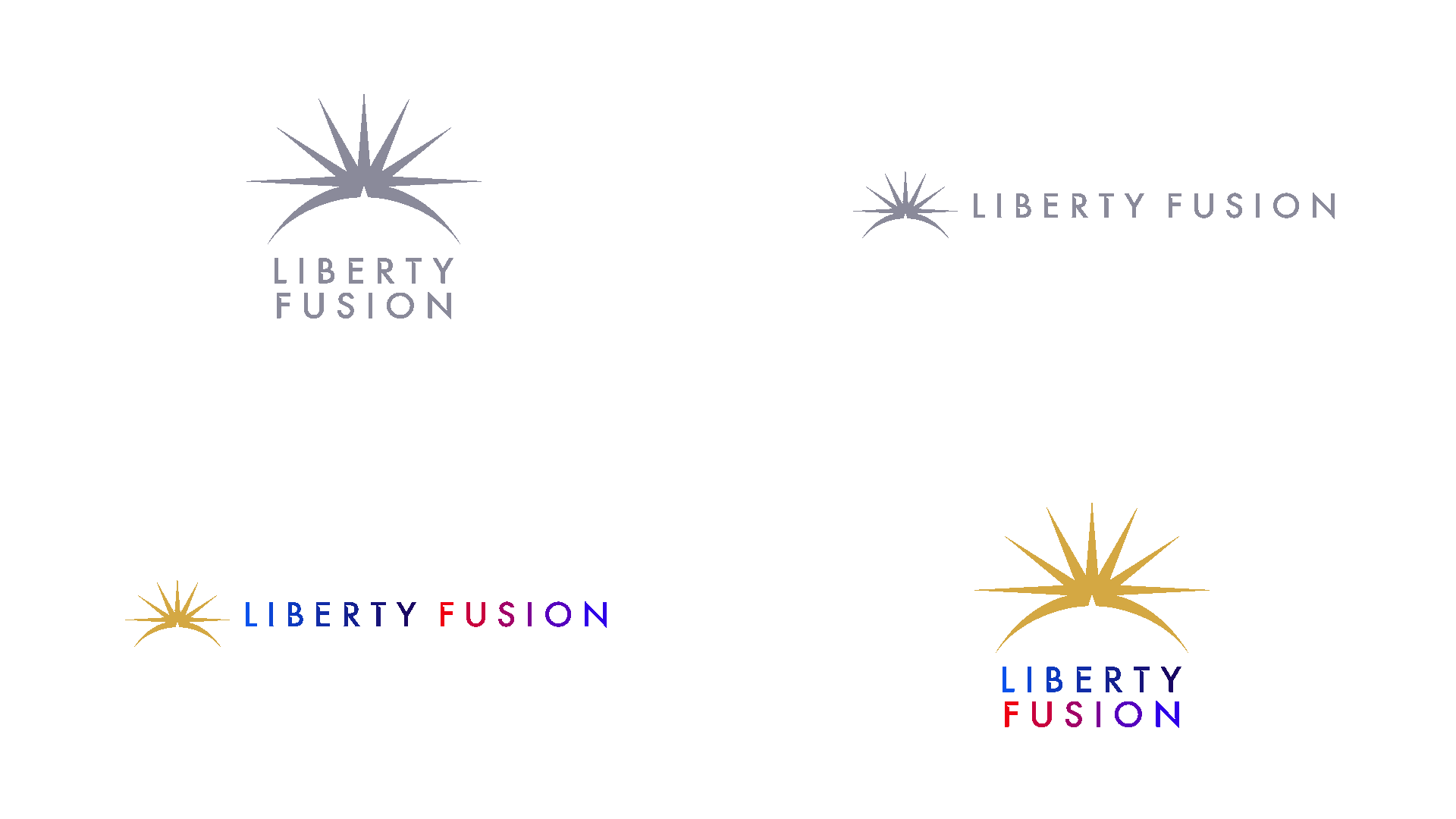 Liberty Fusion two primary logo lockups — horizontal and stacked — full color and steel gray.